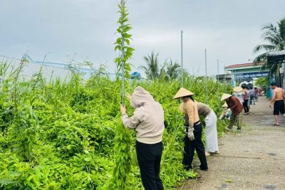 TRƯỜNG MẦM NON BÌNH MINH THỰC HIỆN CÔNG TÁC TỔNG VỆ SINH TRƯỜNG, LỚP ĐỂ ĐÓN TRẺ ĐẾN TRƯỜNG TRONG NĂM HỌC MỚI 2026-2027.